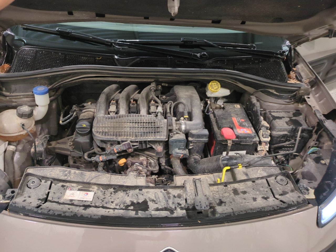 CITROEN C4 CACTUS - C4 CACTUS PURETECH 82 LIVE - Internet | Alcopa Auction