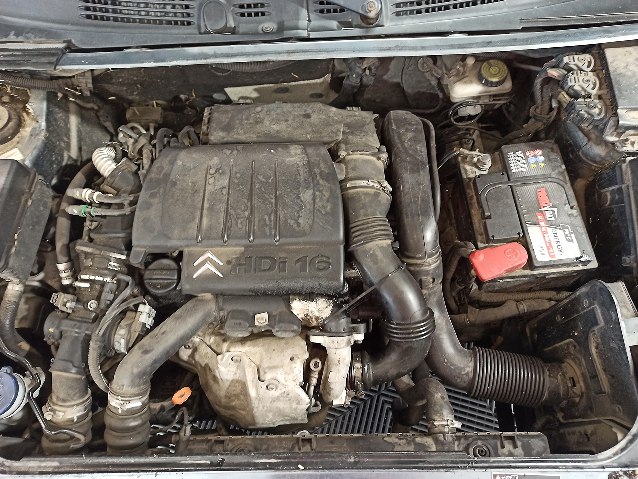 Citroen Berlingo 1.6 Hdi Springt Nicht An www.alcopa-auction.fr