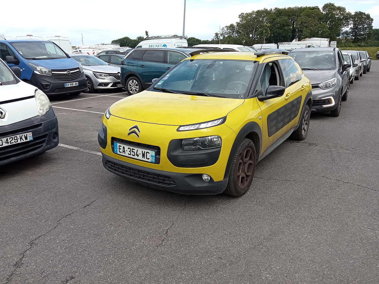 Alcopa Auction, the leading auction house for used cars