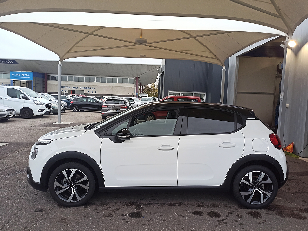 Vor Ihrem Fahrzeug Flüchten Mehrere Rehe über Die Straße CITROEN - C3(3) FL E110 SHINE PACK - Lyon | Alcopa Auction